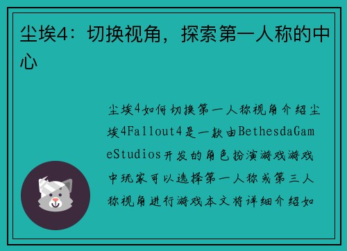 尘埃4：切换视角，探索第一人称的中心
